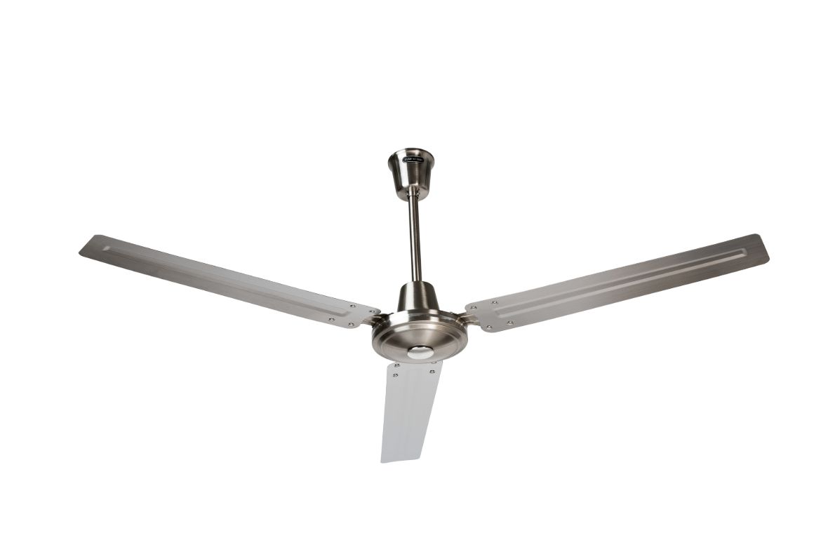 CENTAURO SIN LUZ.jpg